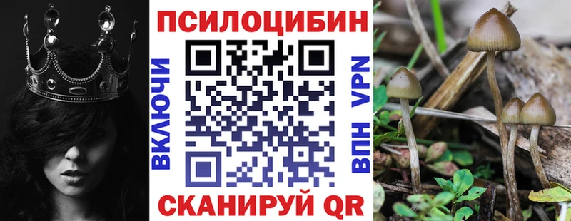 hydra как зайти  Горнозаводск  Псилоцибиновые грибы GOLDEN TEACHER 