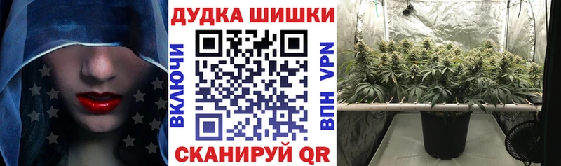 гидра маркетплейс  где купить наркотик  Горнозаводск  Бошки Шишки планчик 